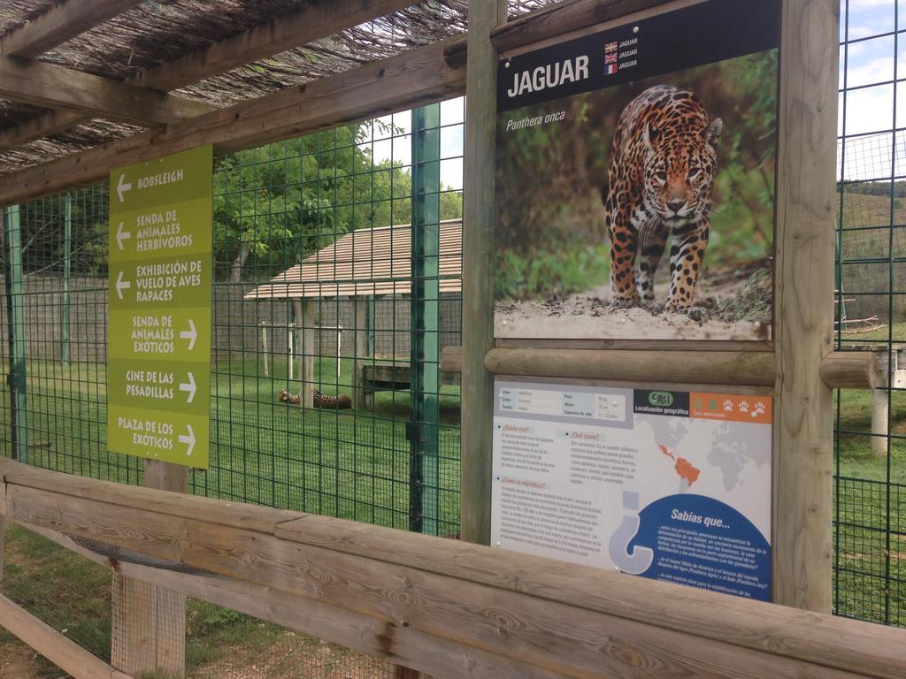 Apartamento Turistico Cigueena De Arguedas Zewnętrze zdjęcie