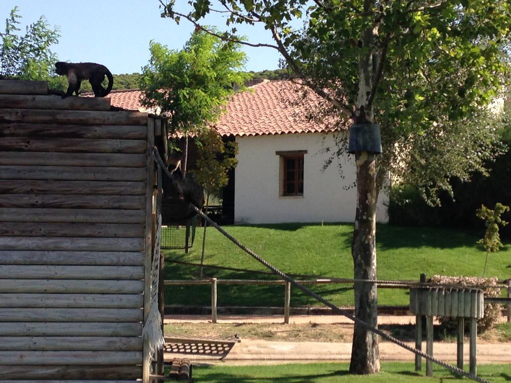 Apartamento Turistico Cigueena De Arguedas Zewnętrze zdjęcie